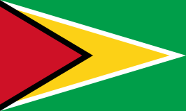[A00079] Pavillon. 30x45 Etamine Guyana (6)