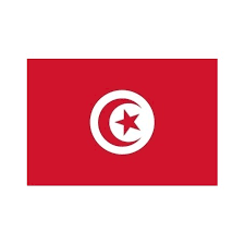 [A00099] Pavillon. 30x45 Etamine Tunisie (2)