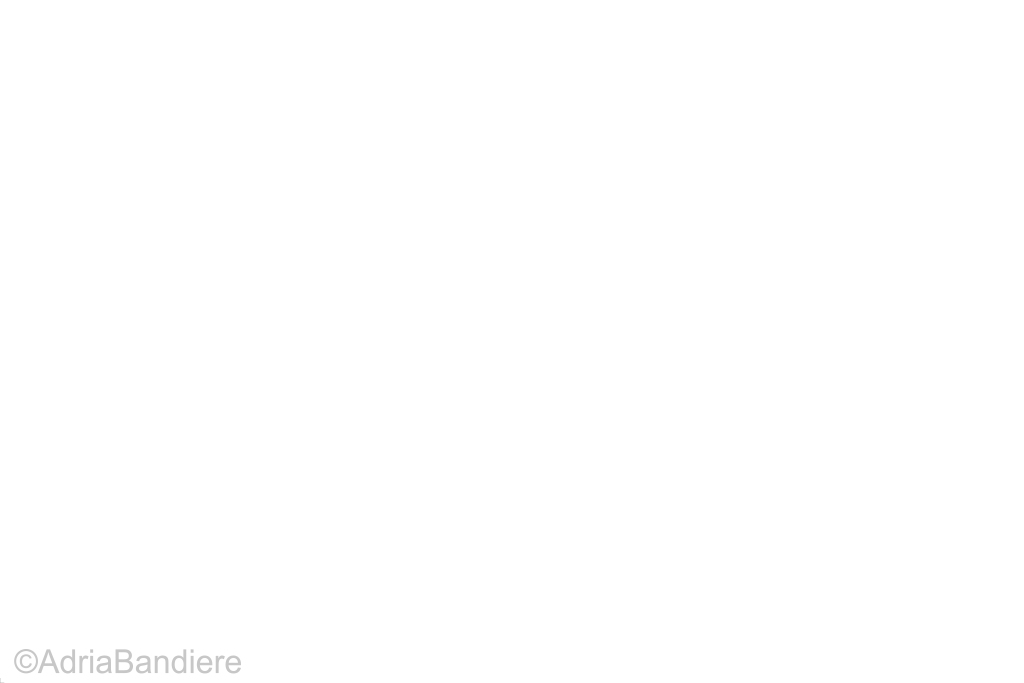 [A00128] Pavillon. 70x100 Etamine Blanc