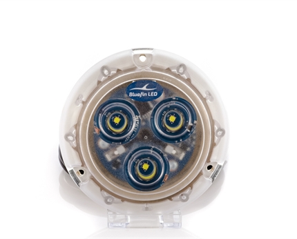 [A05285] LED piranha P3 bleu 12v